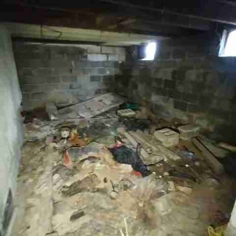 8031 conger (81).jpg